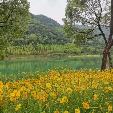 20200516双龙水库—白望山—山关行