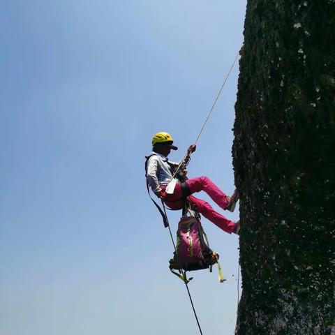 20200503九峰山野线探路