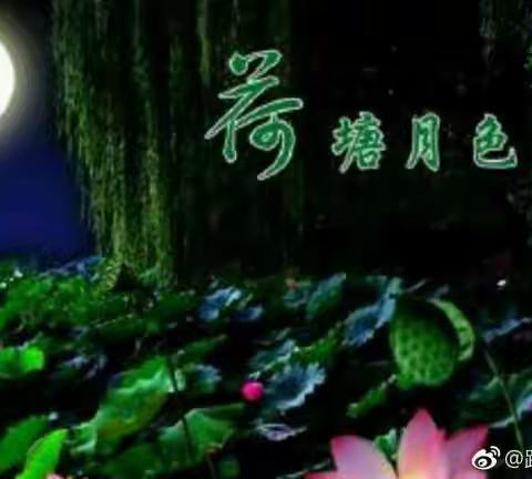 跟着诗人去赏荷——续篇