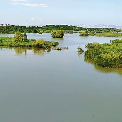 滹沱河——石家庄的母亲河