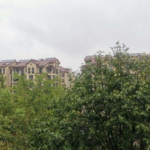 久旱逢甘霖，宣城下雨了