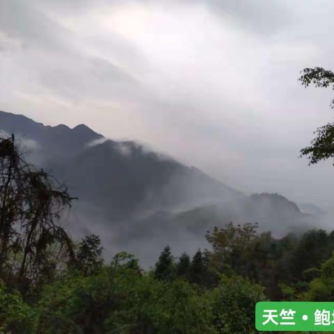 我在天竺享兰香