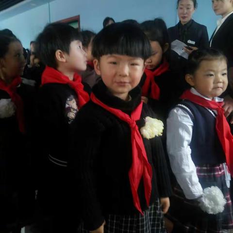 寄一份哀思 培一种仪式 植一份信仰