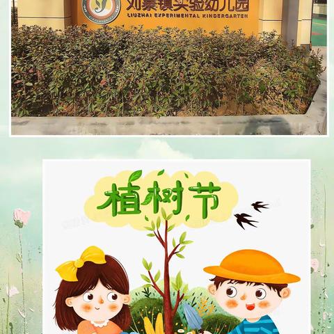 【我和小树🌲共成长】                      ——刘寨镇实验幼儿园植树节活动