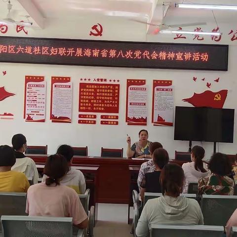 吉阳区六道社区妇联开展学习海南省第八次党代会精神宣讲活动