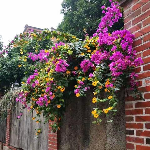 清新文艺的厦门