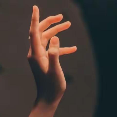 停留在风中的手