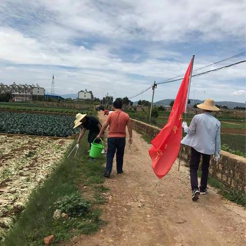 美丽江川，我是行动者