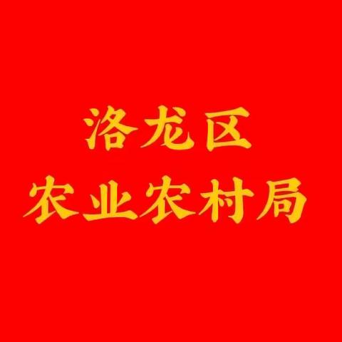 洛龙区召开农村人居环境整治工作推进会议