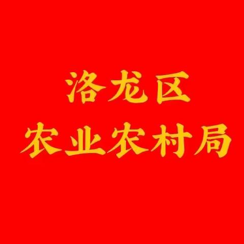 区委书记韩建军调研乡村建设和人居环境综合整治提升工作