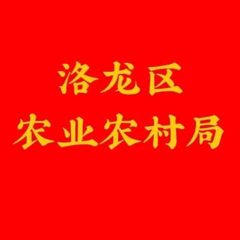 洛龙区召开“厕所革命”信息系统培训会