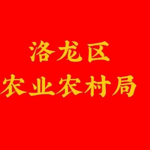 区委副书记、区长孙毅辉调研乡村建设和农村环境整治工作