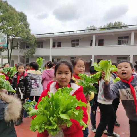 温盘小学劳动实践活动