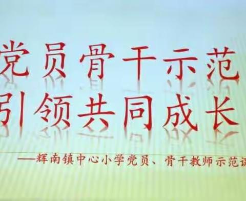 党员骨干示范  引领共同成长——辉南镇中心小学党员、骨干示范课活动纪实