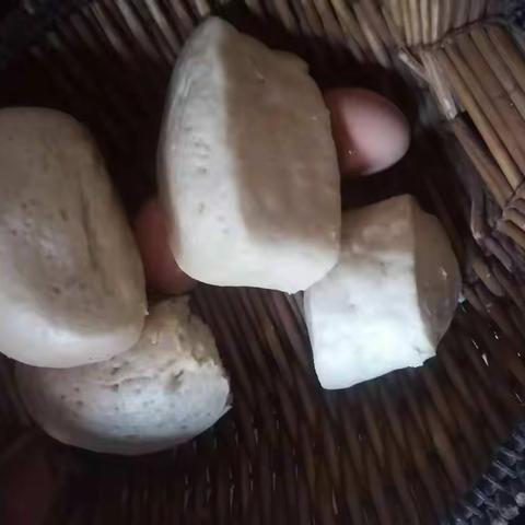 高一21班假期学习生活