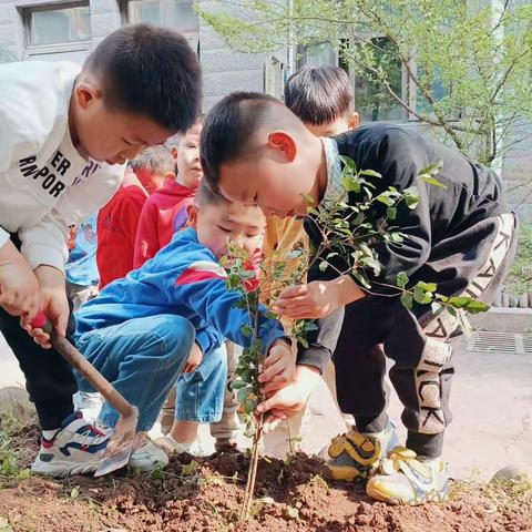 保护我们美丽的家园，植树从我做起-淡幼芒果宝贝成长记（4）