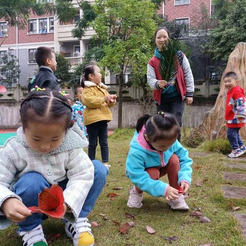 淡幼芒果宝贝成长记(10)