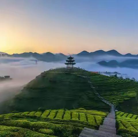 如梦令.酉仙诗梦