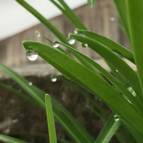 春风化雨 来日可期