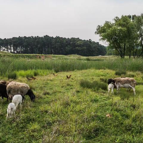 网红打卡地：呼伦贝尔镇江分尔、贝加尔湖镇江分湖