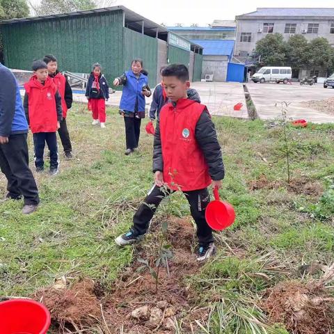 护航青山绿水-----东湖塘镇环保服务站