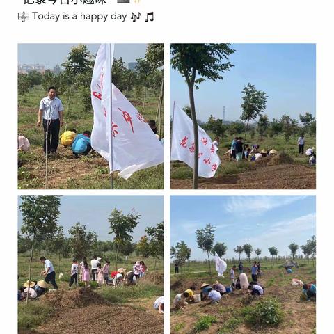 劳动砺心志 实践促成长——龙集学校开展“劳动伴我成长”社会实践活动