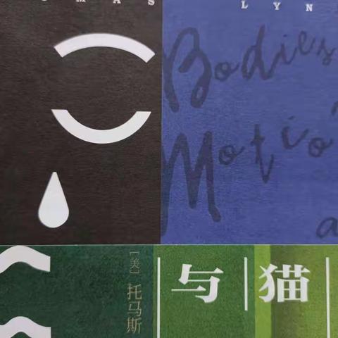 《酗酒、猫与赞美诗》读后感