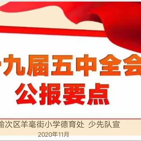 羊毫街小学十九届五中全会公告进校园