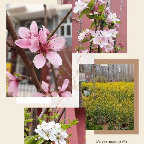 【精致致远】草树知春不久归，万般红紫斗芳菲       —— ——兖州区实验小学教育集团薛庙校区春日小记