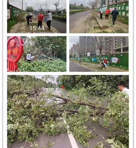 雨后绿化大急救    守护绿色园区