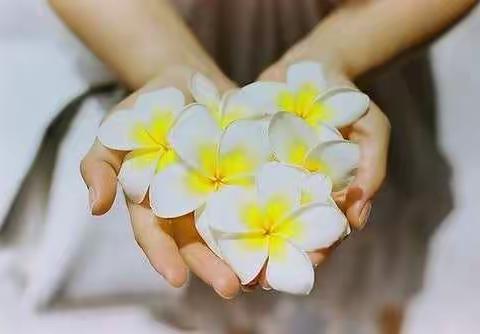 用行动战胜拖延