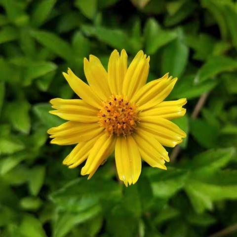 我和海师附中心育中心有个约会