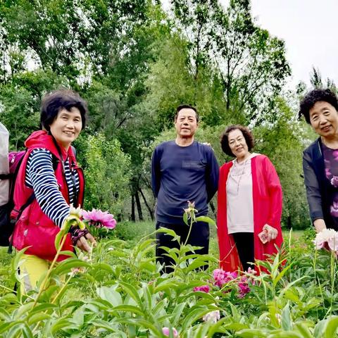 雨天漫步在森林公园