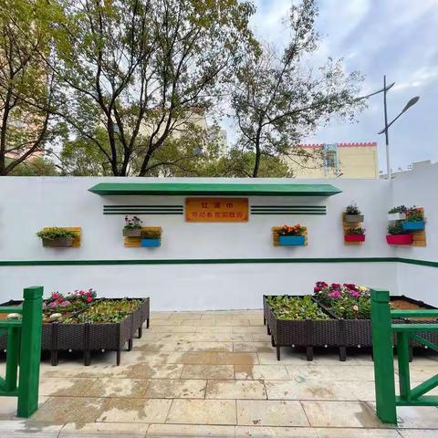 九江双语实验学校“红领巾劳动教育实践园”开园了！