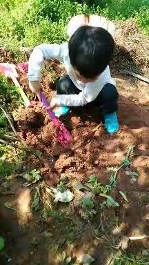 添一点绿色，多一份美好——红黄蓝幼儿园红一班