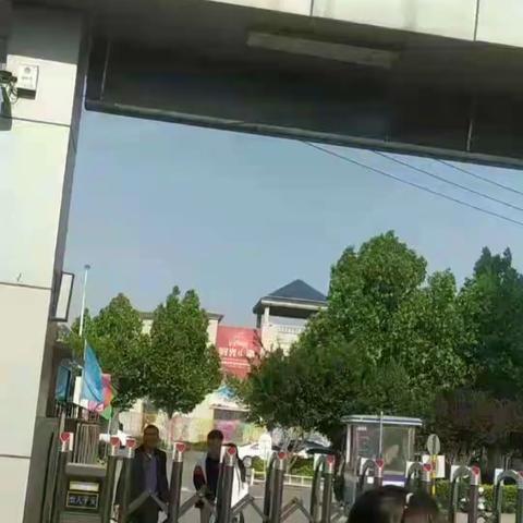 南湖公园实践活动