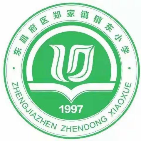 文采飞扬，笔墨生香——东昌府区郑家镇镇东小学作文比赛纪实