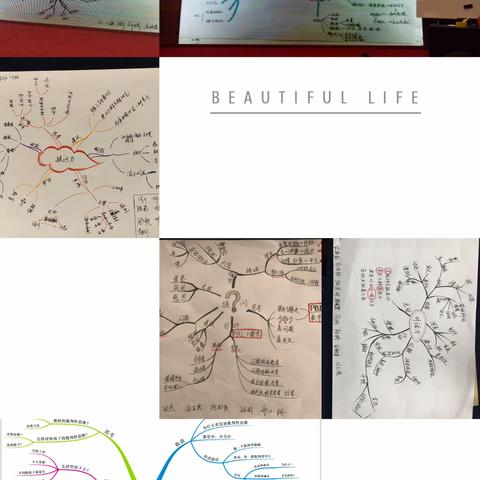 20日学员总结