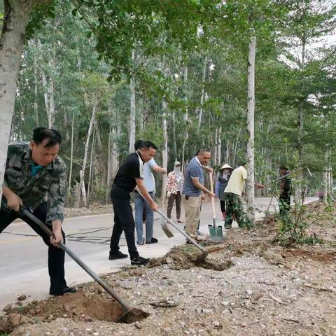 海尾镇双创双修和文明大行动系列(八十八)——白沙村种植三角梅记