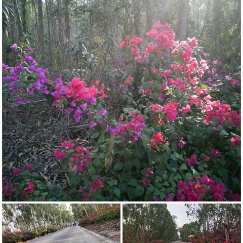 铸文明魂  创整洁村