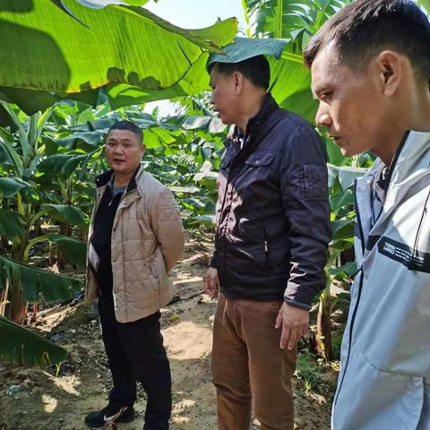 寒风潜入夜，望周知