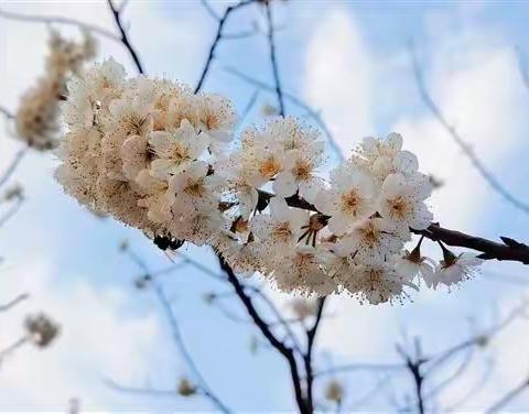 与春天一起成长
