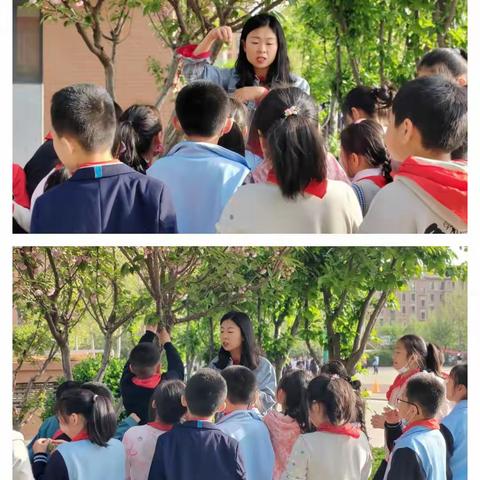 留住春天的色彩——宝通街小学劳动社团之植物拓印