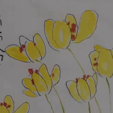 郁金香