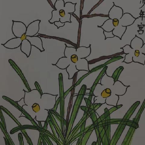 凌波仙子