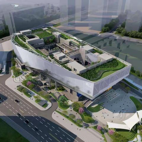 深圳市文化馆新馆项目春节节前检查工作报告