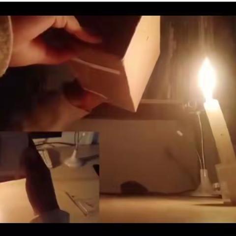 实践作业 “兔”显精彩——卢氏县实验中学寒假实践作业展评侧记