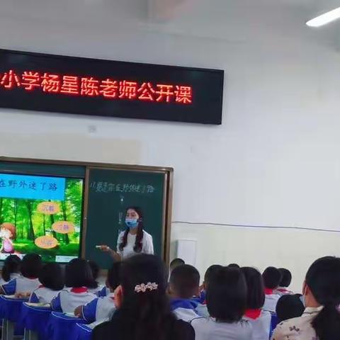 勐捧完全小学语文组公开课《要是你在野外迷了路》简报