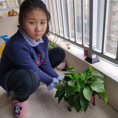 春天到了，毛毛细雨中，石榴树贪婪地吮吸着春天的甘露；树枝上吐出了小嫩芽，春风吹来，嫩芽渐渐地变成了小绿叶，