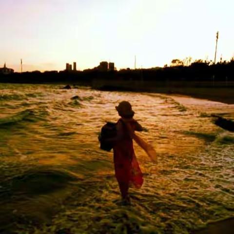 我 手风琴与酒庄